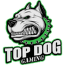 Top Dog Gaming logo