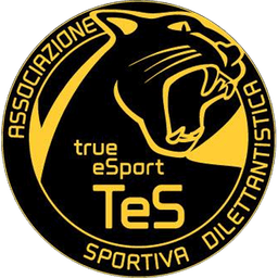 True eSport
