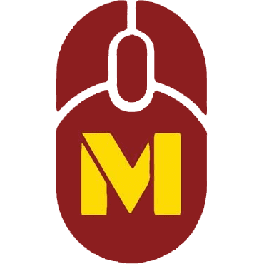 University of Minnesota Twin Cities