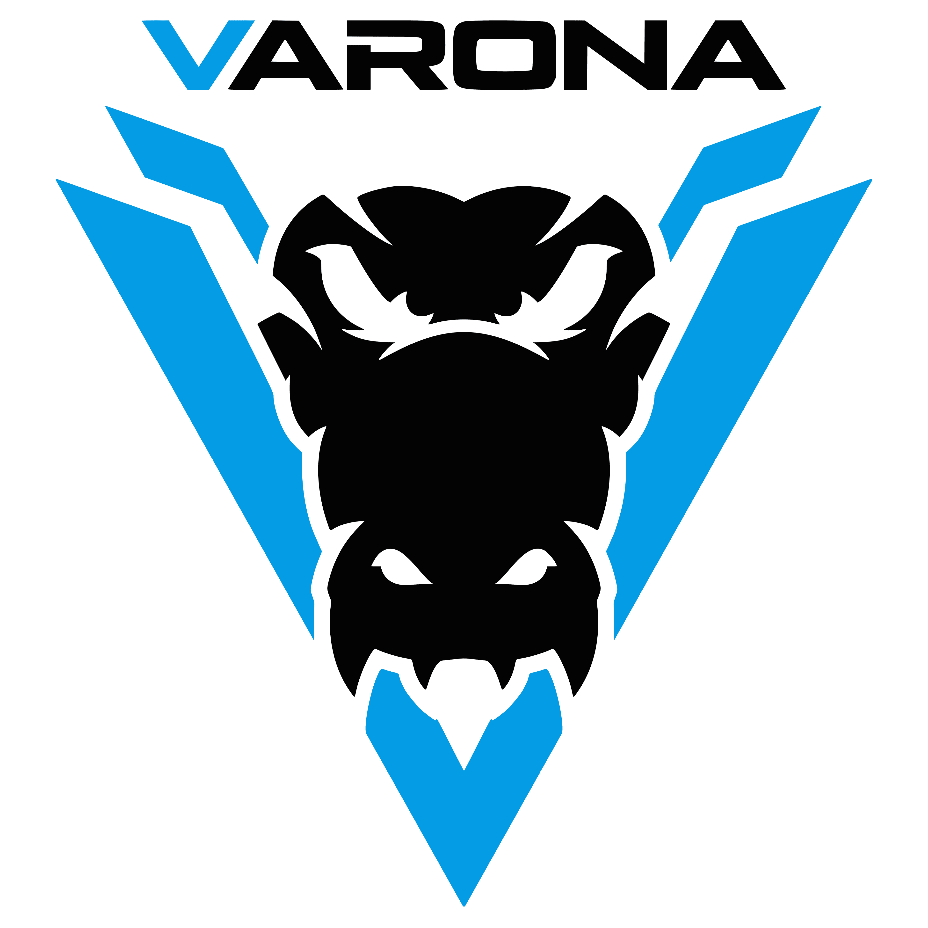 Varona Esports