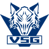 Victory Song Gaming logo