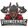 Vikingekrig Academy logo