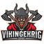 Vikingekrig Esports logo