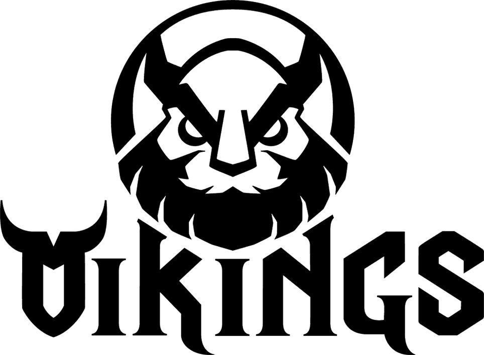 Vikings Gaming