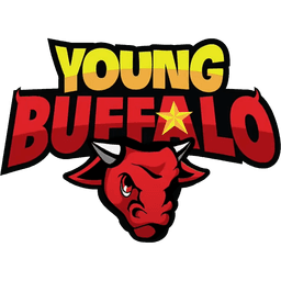 Young Buffalo