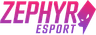 Zephyr Esport logo