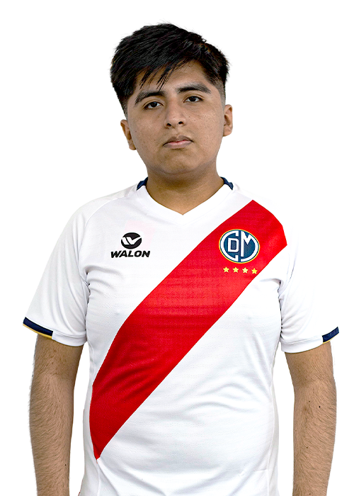 Cristhian&nbsp;Antony Almanza Yurivilca