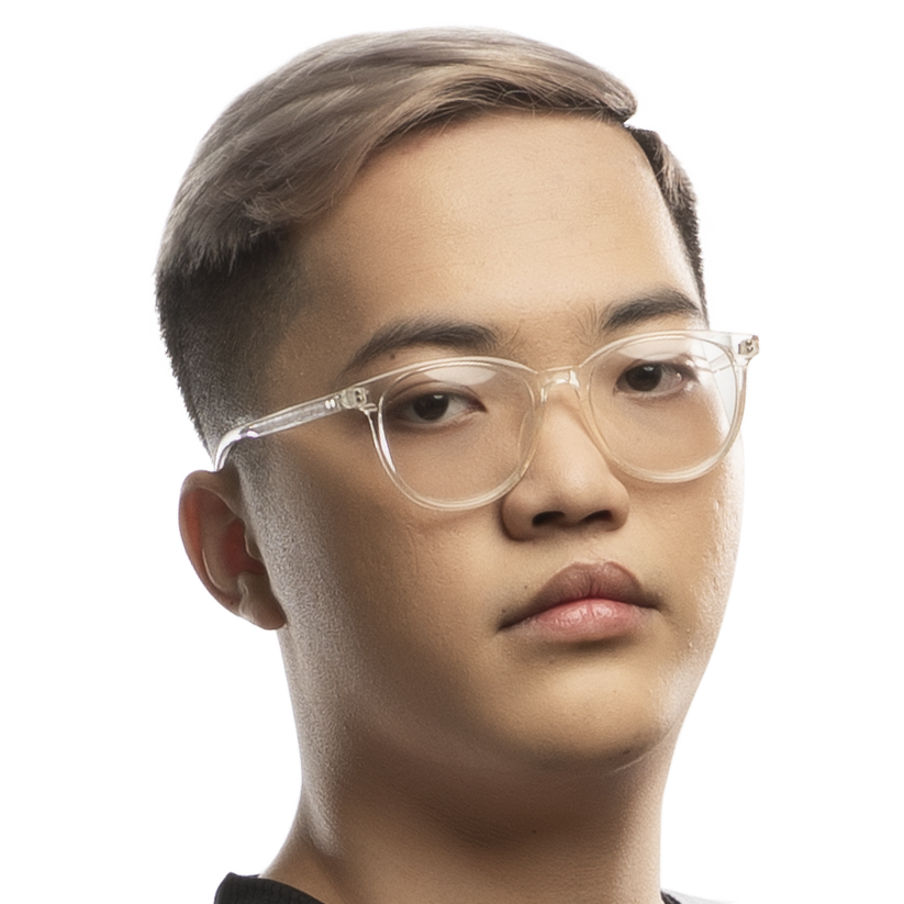 Nguyễn Lâm Việt Sinh