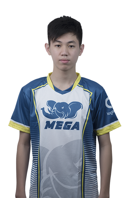 Tanpong Tungchoksongchai