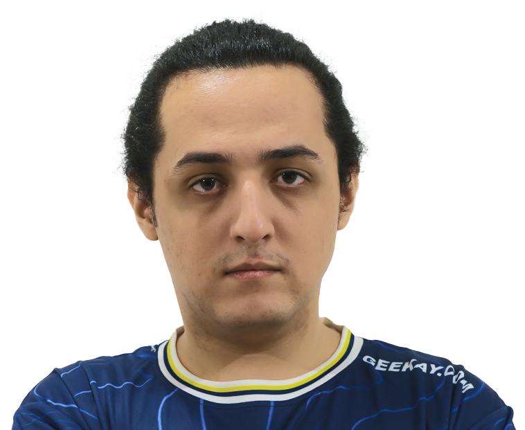 Waleed Mohammed Ismail