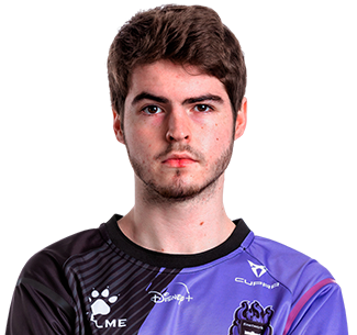 Pedro Simões Ribeiro