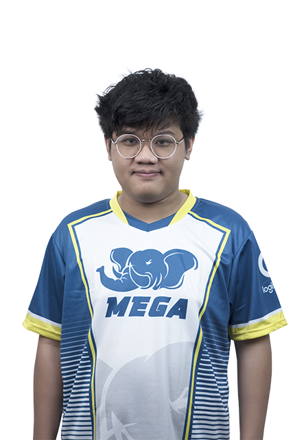 Panthachanok Niamsiri