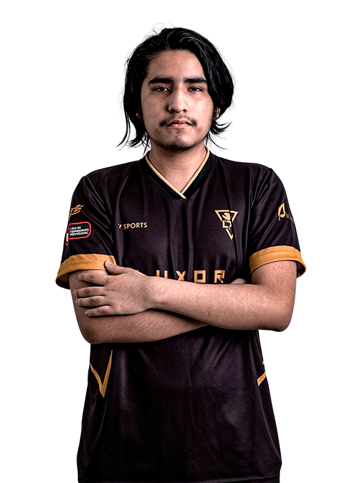 Diego&nbsp;Alonso Farfan Arellano