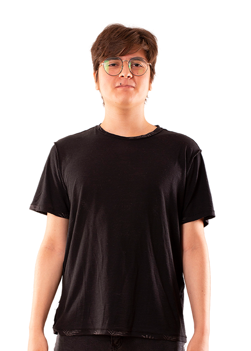 Nicolás&nbsp;Benjamín Pérez Avello